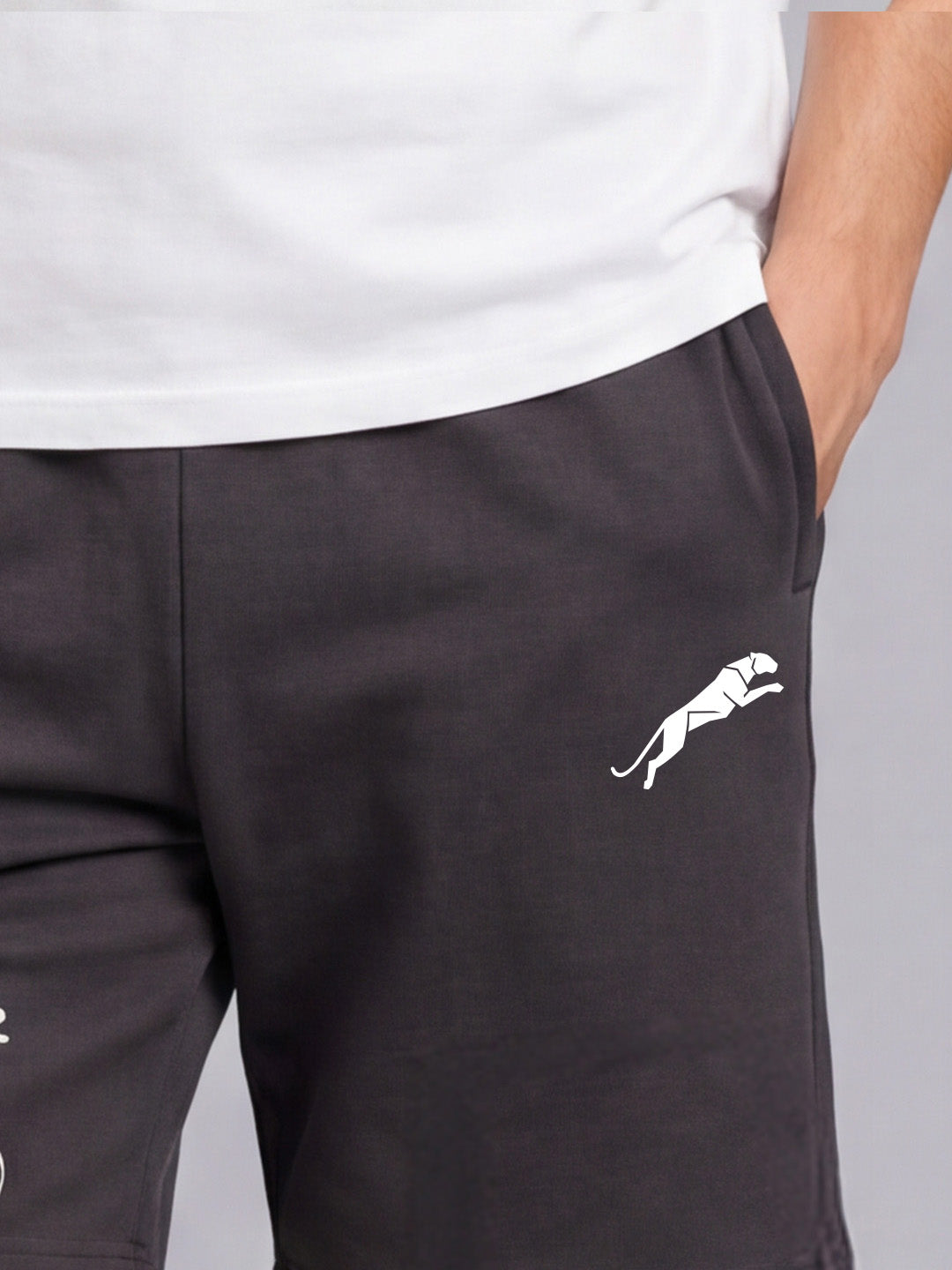 ARDEUR ZEAL IN YOU Men's Steel Grey Regular Fit Energy Formula Typography Shorts