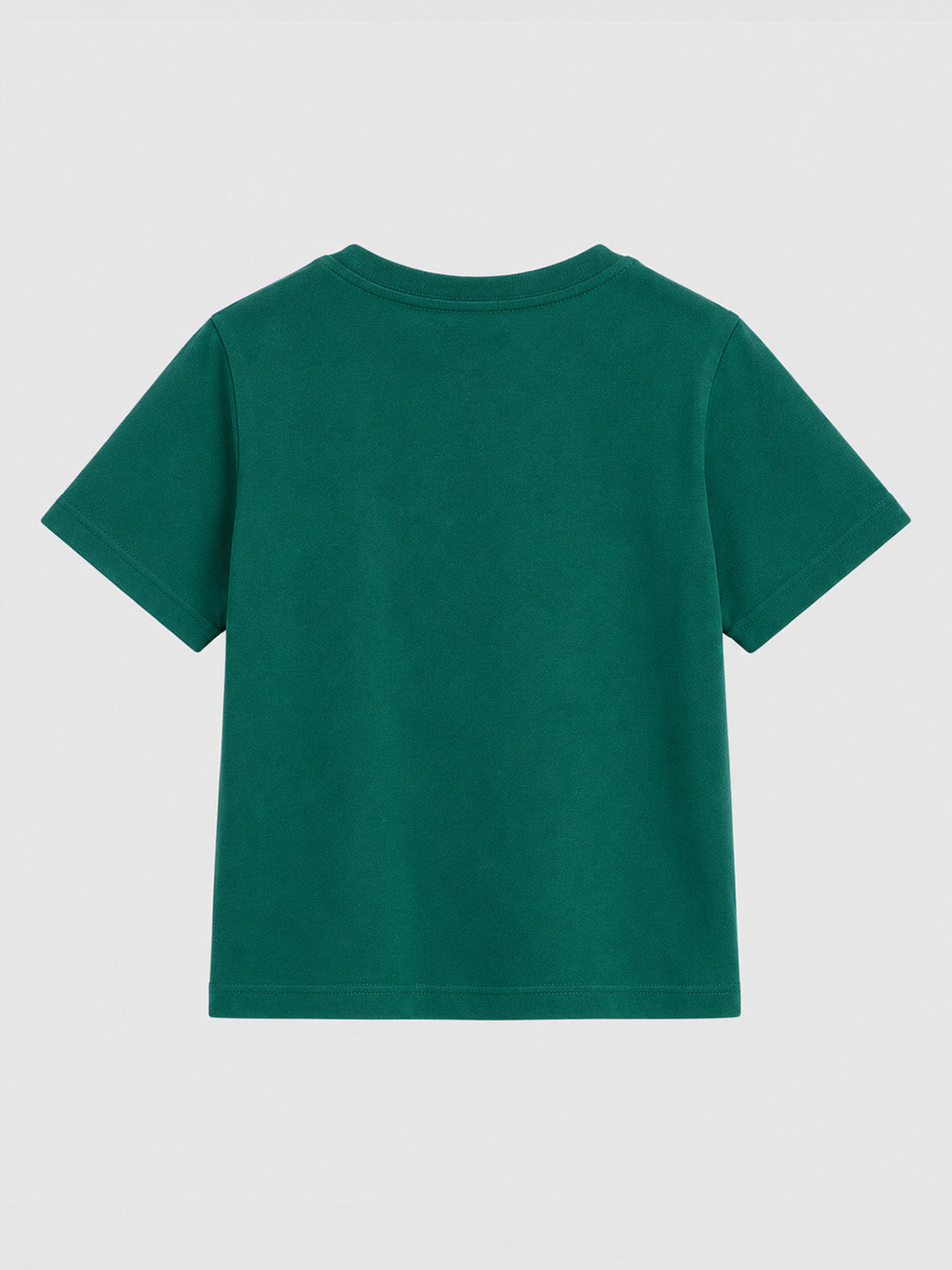 CODEZ Boys Alpine Green Pure Cotton Wild Trail Explorer Relaxed Fit T-Shirt