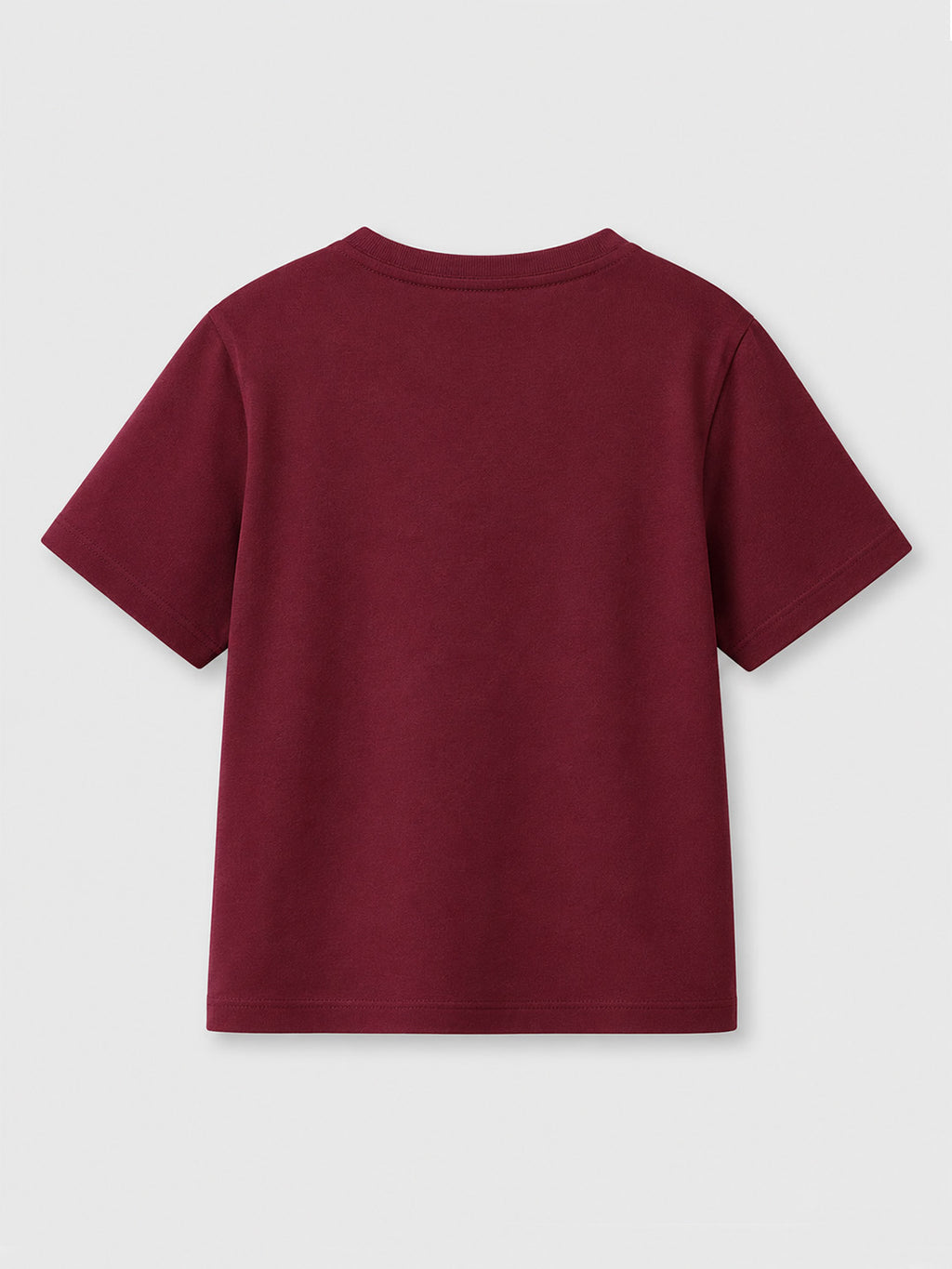 CODEZ Boys Tawny Port Pure Cotton Mountain Territories Graphic Relaxed Fit T-Shirt
