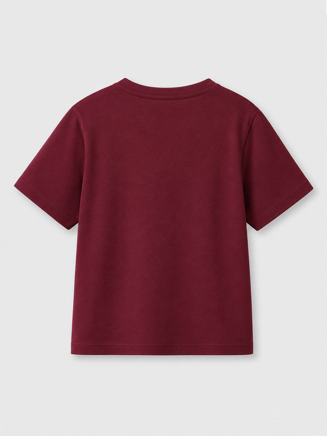 CODEZ Boys Tawny Port Pure Cotton Mountain Territories Graphic Relaxed Fit T-Shirt