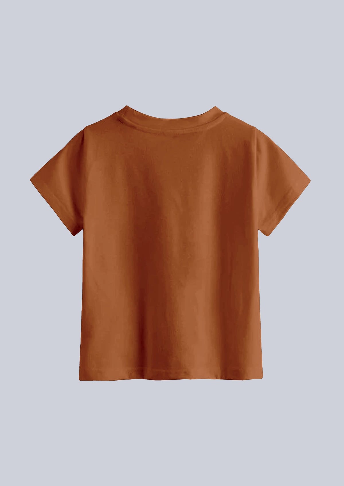 boys printed t-shirt - CODEZ Boys' Rust Round Neck Printed T-Shirts, back view